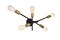 Axel Collection Wall Sconce D24.7 H9.9 Lt:5 Black and Brass Finish